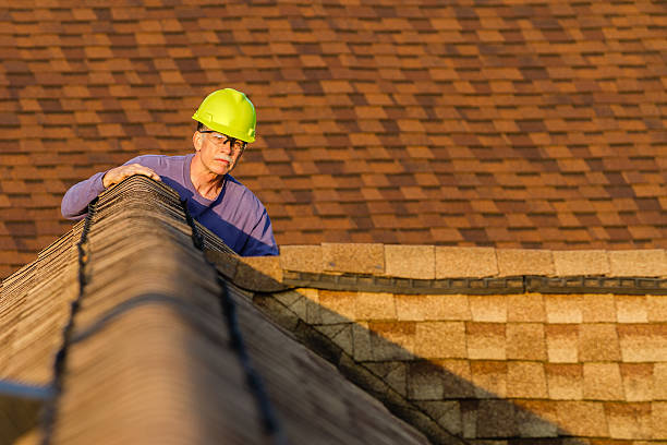 Best Roof Replacement Cost  in Porter, IN